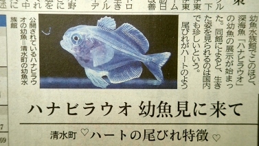 0209静岡新聞