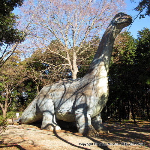 病気療養中のケティオサウルスのお見舞いに行きました！　手賀の丘公園　（千葉県柏市）【恐竜公園・博物館・恐竜展の訪問記】