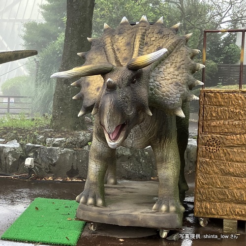 伊豆シャボテン動物公園（静岡県伊東市）【こんなところで恐竜発見！】