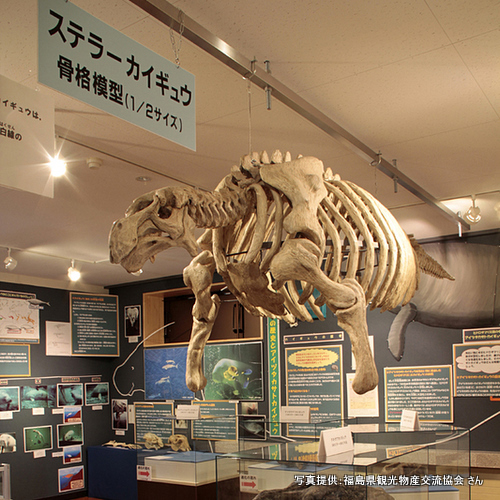 カイギュウランドたかさと（福島県喜多方市）【こんなところで恐竜発見！】