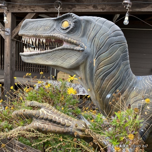 さぬき屋 崚（熊本県熊本市）【こんなところで恐竜発見！】