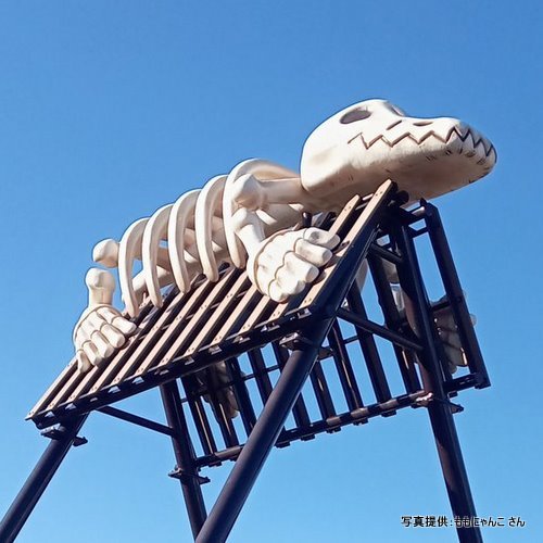 里見が丘公園（北海道足寄町）【こんなところで恐竜発見！】　アショロアの真っ白い全身骨格が乗っています！