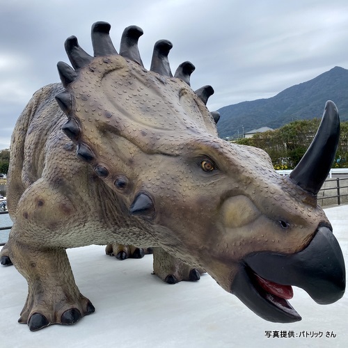 棚底港フェリーターミナル（熊本県天草市）【こんなところで恐竜発見！】　