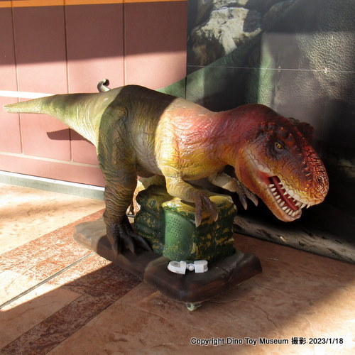千葉県印西市、恐竜がいる商業施設、ビッグホップにまた来ました！