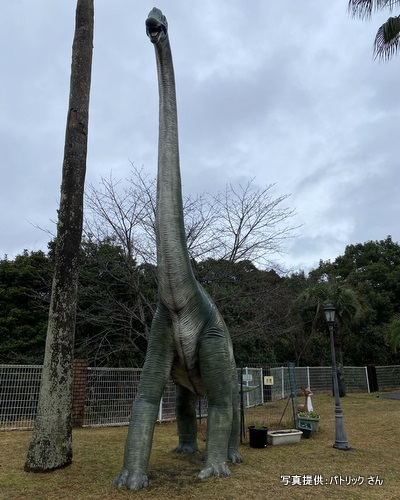 パソ松ヶ尾館（鹿児島県鹿児島市）【こんなところで恐竜発見！】