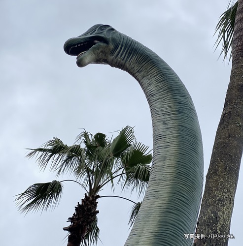 パソ松ヶ尾館（鹿児島県鹿児島市）【こんなところで恐竜発見！】
