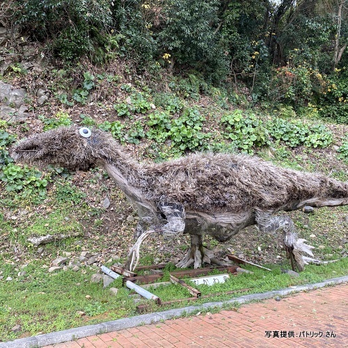 獅子島化石パーク（鹿児島県長島町）【こんなところで恐竜発見！】