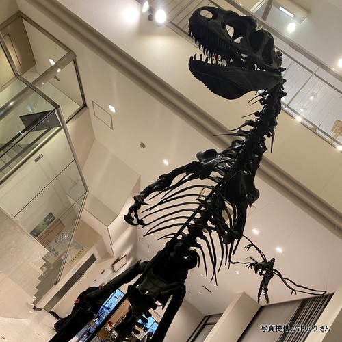 奥出雲多根自然博物館（島根県奥出雲町）【こんなところで恐竜発見！】