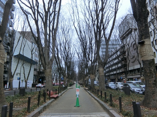 ３定禅寺遊歩道