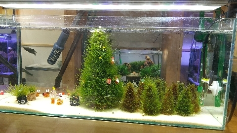水槽クリスマスツリー
