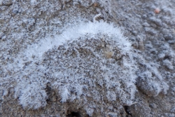 土の霜