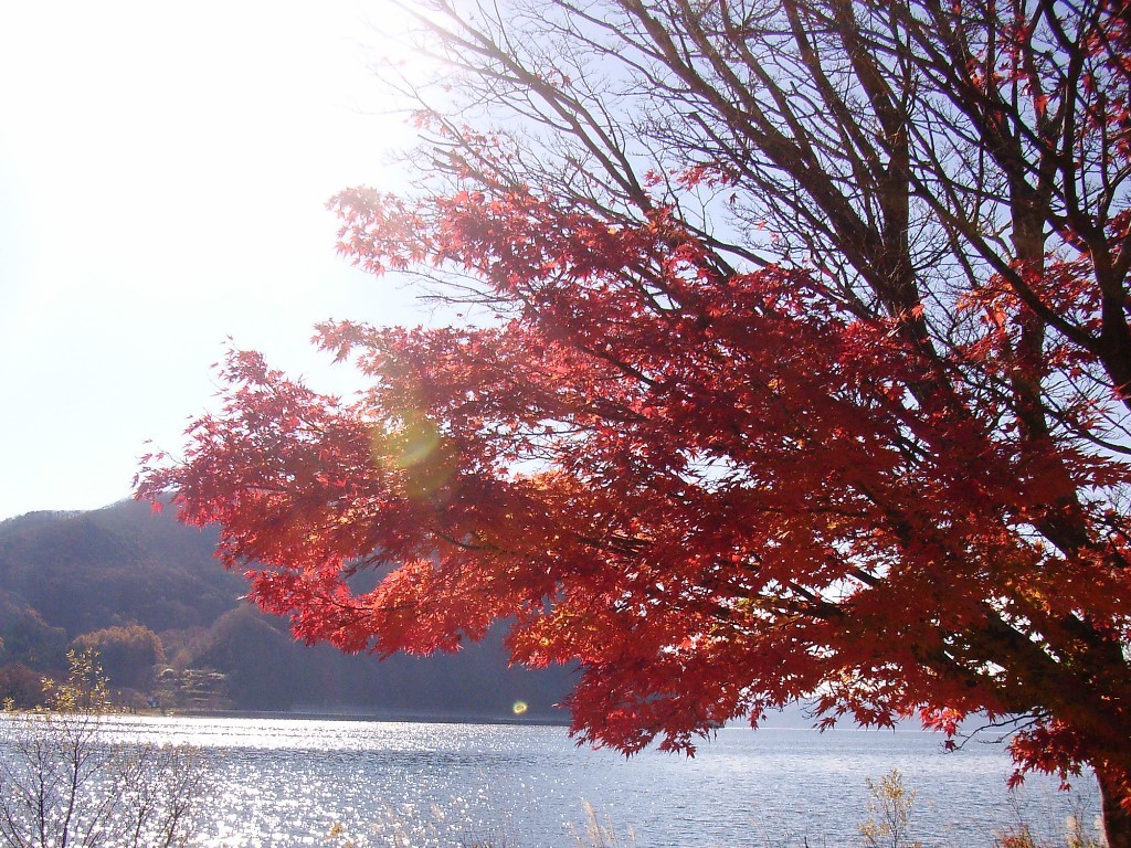 紅葉と猪苗代湖