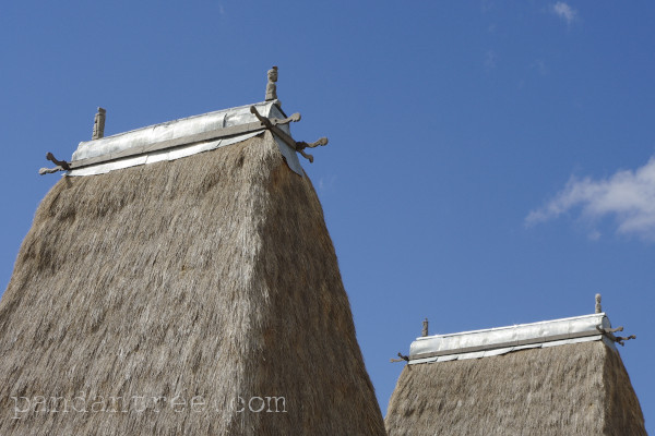 スンバ島の伝統家屋の屋根