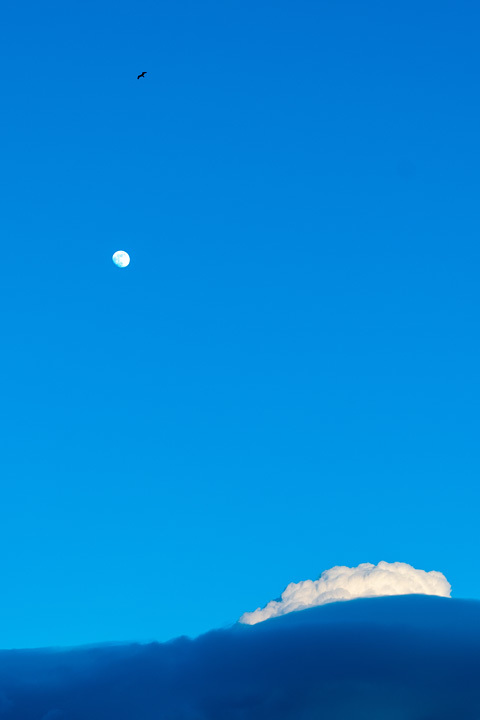 月と雲とトンビと