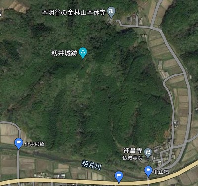 20221217籾井城跡　Google マップ