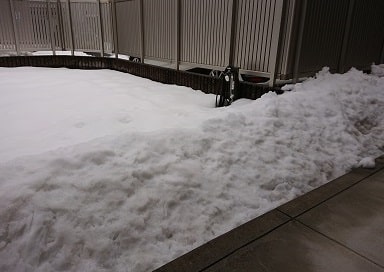雪が積もった庭