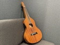ワイゼンボーン型ギター