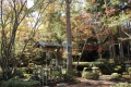 松雲山荘庭園101