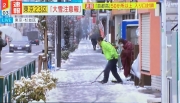 東京雪害002