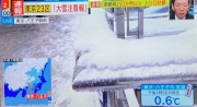 東京雪害001